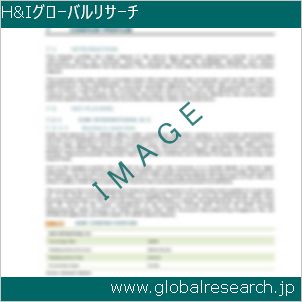 グローバルリサーチ調査レポートのイメージ